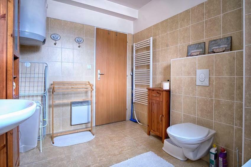 Apartman Destna Cp.1 デシュトネー・フ・オルリツキーフ・ホラーフ エクステリア 写真